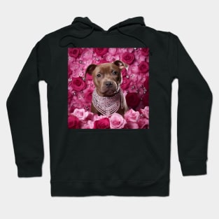 Staffy And Roses Hoodie